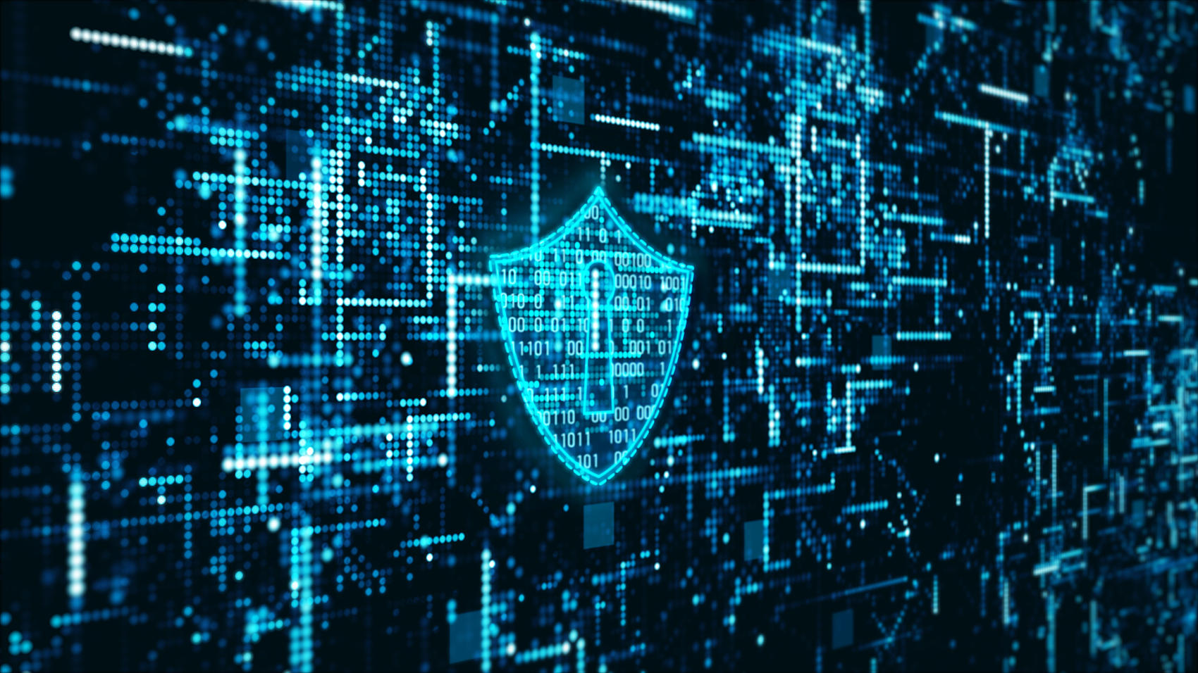 Digital shield for cybersecurity defense